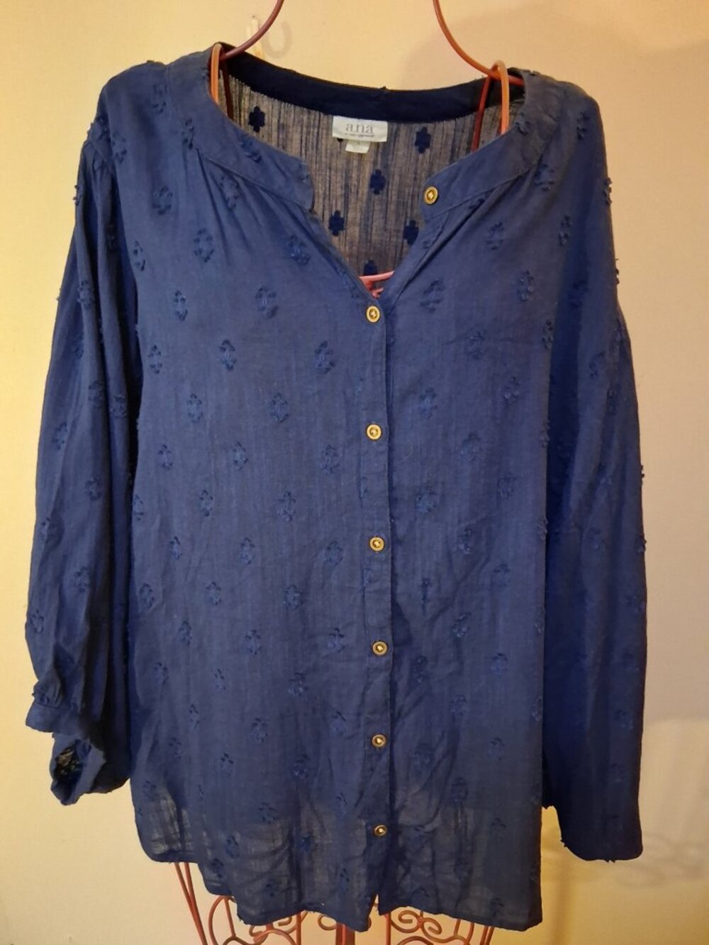 a.n.a Blue Balloon Sleeve Embroidered Button Down Blouse Boho Peasant Top
